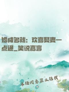 婚成名就：欢喜娶妻一点通
