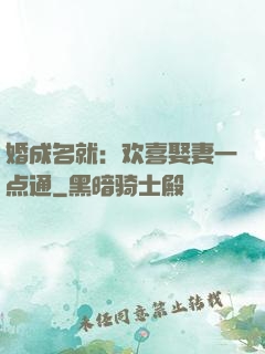 婚成名就：欢喜娶妻一点通