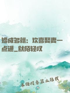 婚成名就：欢喜娶妻一点通