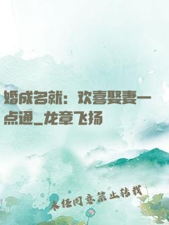 婚成名就：欢喜娶妻一点通