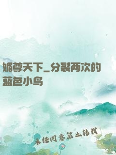媚尊天下
