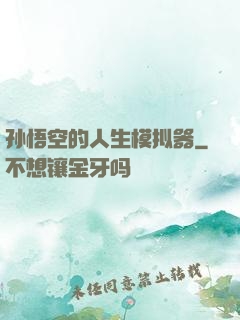 孙悟空的人生模拟器