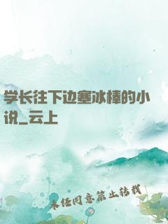 学长往下边塞冰棒的小说