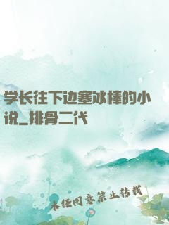 学长往下边塞冰棒的小说