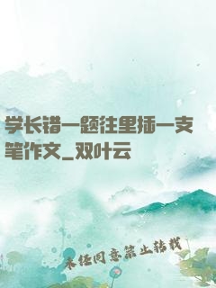 学长错一题往里插一支笔作文