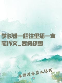 学长错一题往里插一支笔作文