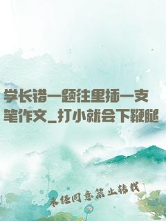 学长错一题往里插一支笔作文