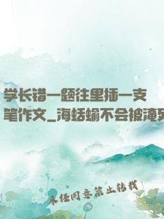 学长错一题往里插一支笔作文
