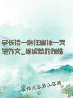 学长错一题往里插一支笔作文