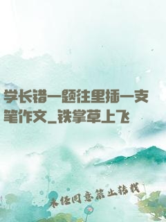 学长错一题往里插一支笔作文