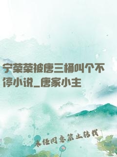 宁荣荣被唐三桶叫个不停小说