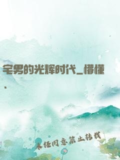 宅男的光辉时代