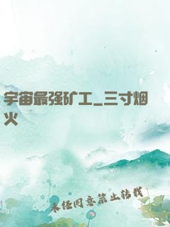 宇宙最强矿工