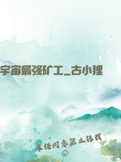 宇宙最强矿工
