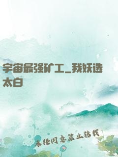 宇宙最强矿工
