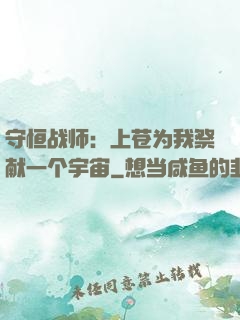 守恒战师：上苍为我祭献一个宇宙