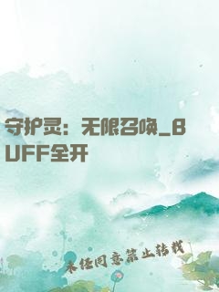 守护灵：无限召唤