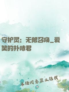 守护灵：无限召唤