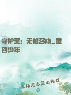 守护灵：无限召唤