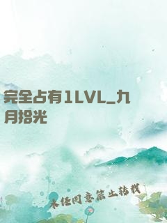 完全占有1LVL