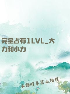 完全占有1LVL