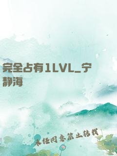 完全占有1LVL