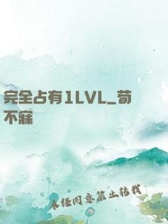 完全占有1LVL