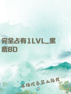 完全占有1LVL