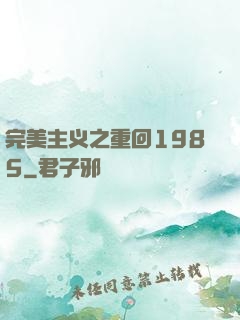 完美主义之重回1985