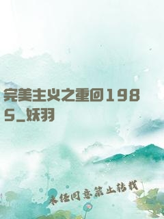 完美主义之重回1985