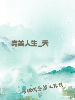 完美人生