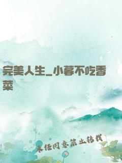 完美人生