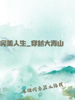 完美人生