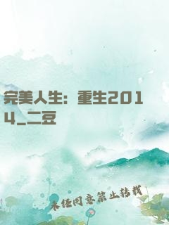 完美人生：重生2014
