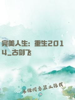 完美人生：重生2014