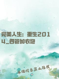完美人生：重生2014