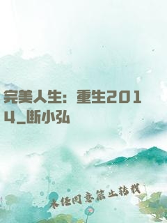 完美人生：重生2014
