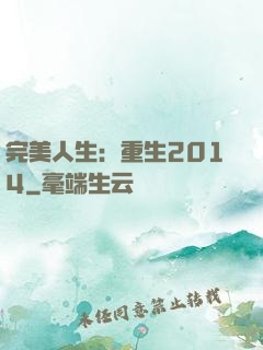 完美人生：重生2014