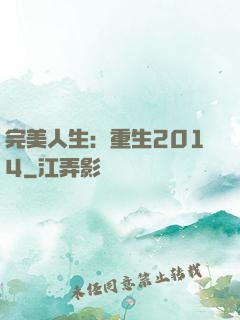 完美人生：重生2014