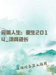 完美人生：重生2014