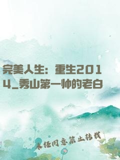 完美人生：重生2014