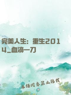 完美人生：重生2014