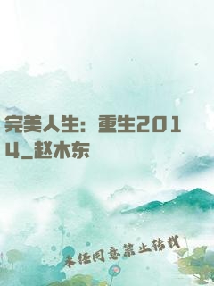 完美人生：重生2014