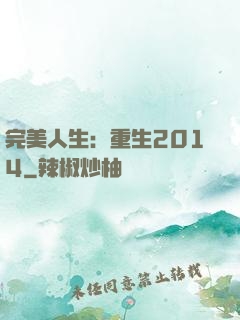 完美人生：重生2014