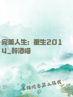 完美人生：重生2014