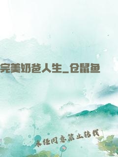 完美奶爸人生