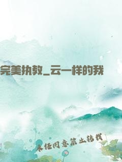 完美执教