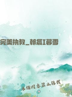 完美执教