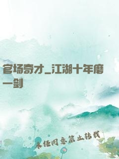 官场奇才