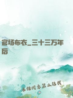 官场布衣